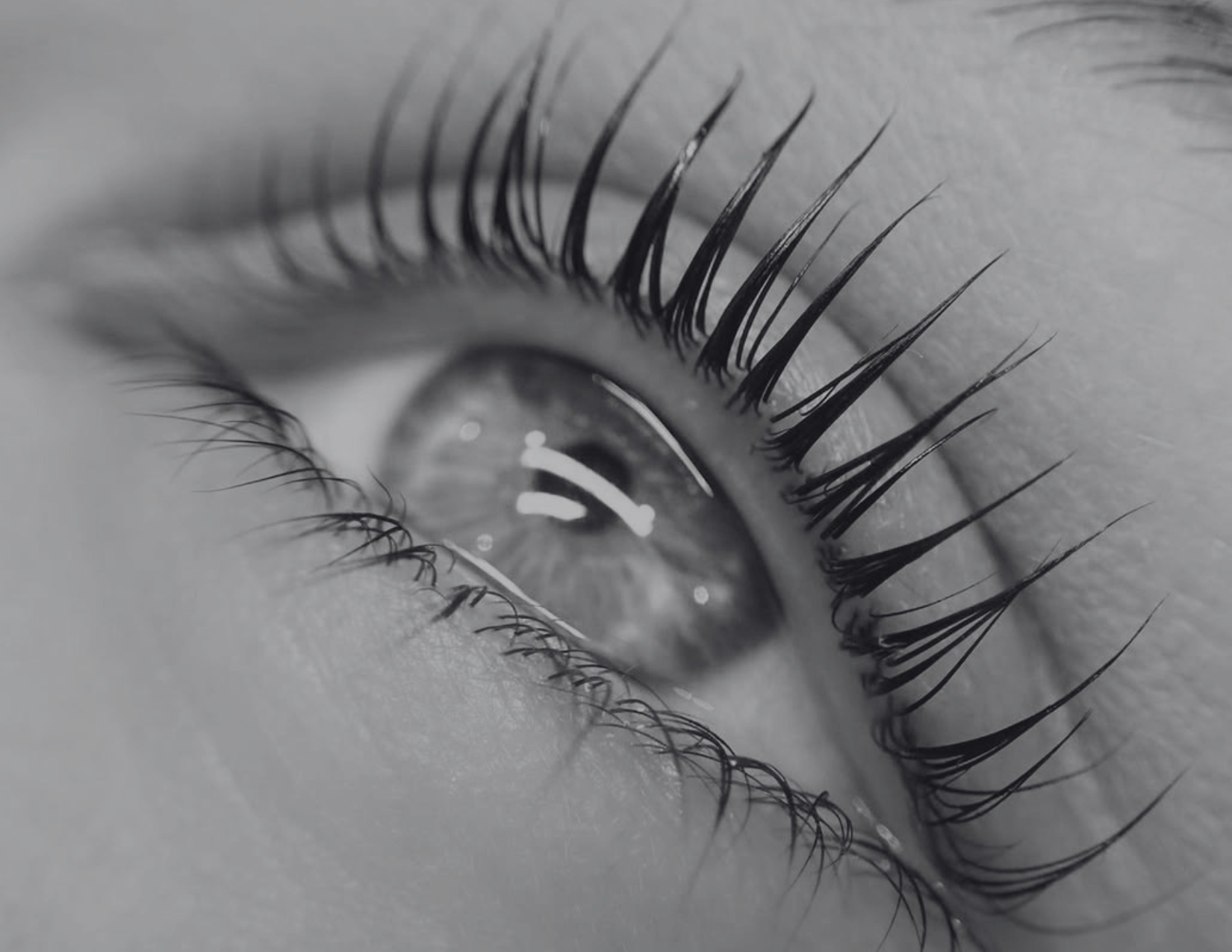 Curso Online Técnicas Avanzadas Lash Lift Coreano