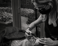 HIBRIDA Certificación Tintes para Cejas Helyx Híbridos